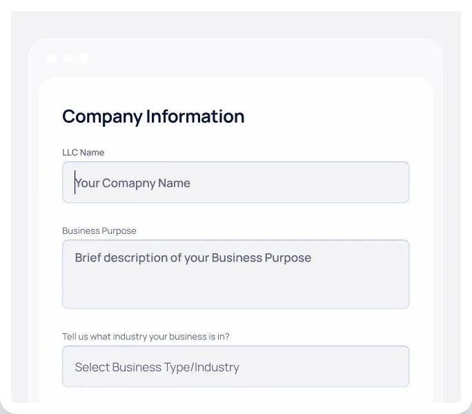 Company information form with fields for name, purpose, and industry