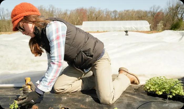 A woman working as a gardener planting plants