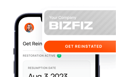 Bizfiz - get reinstated app mobile screen