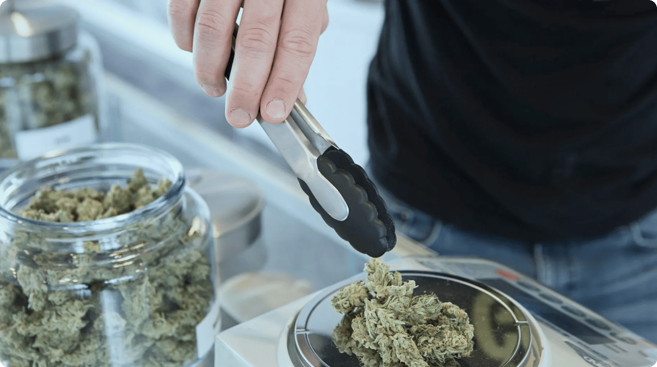 Cannabis Business Startup