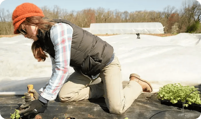 Woman Gardener Planting Plants 1