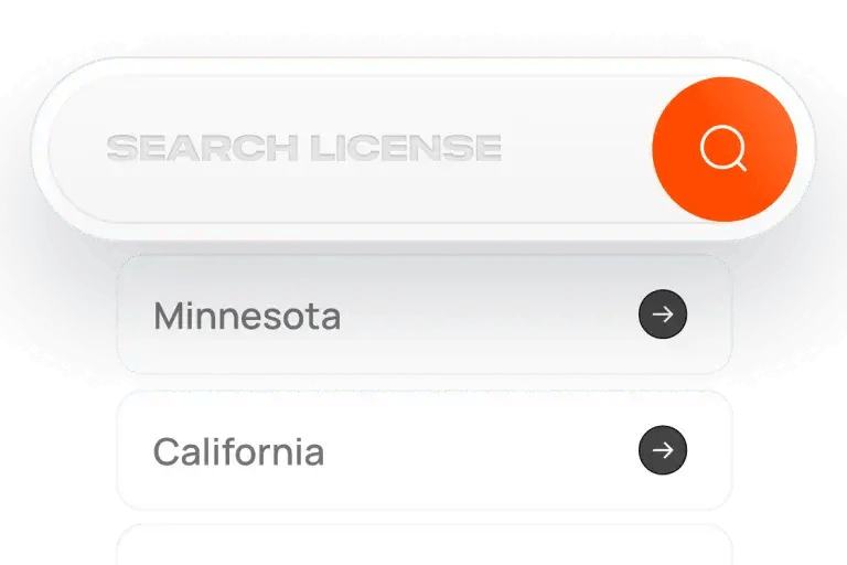 Business License Search Interface