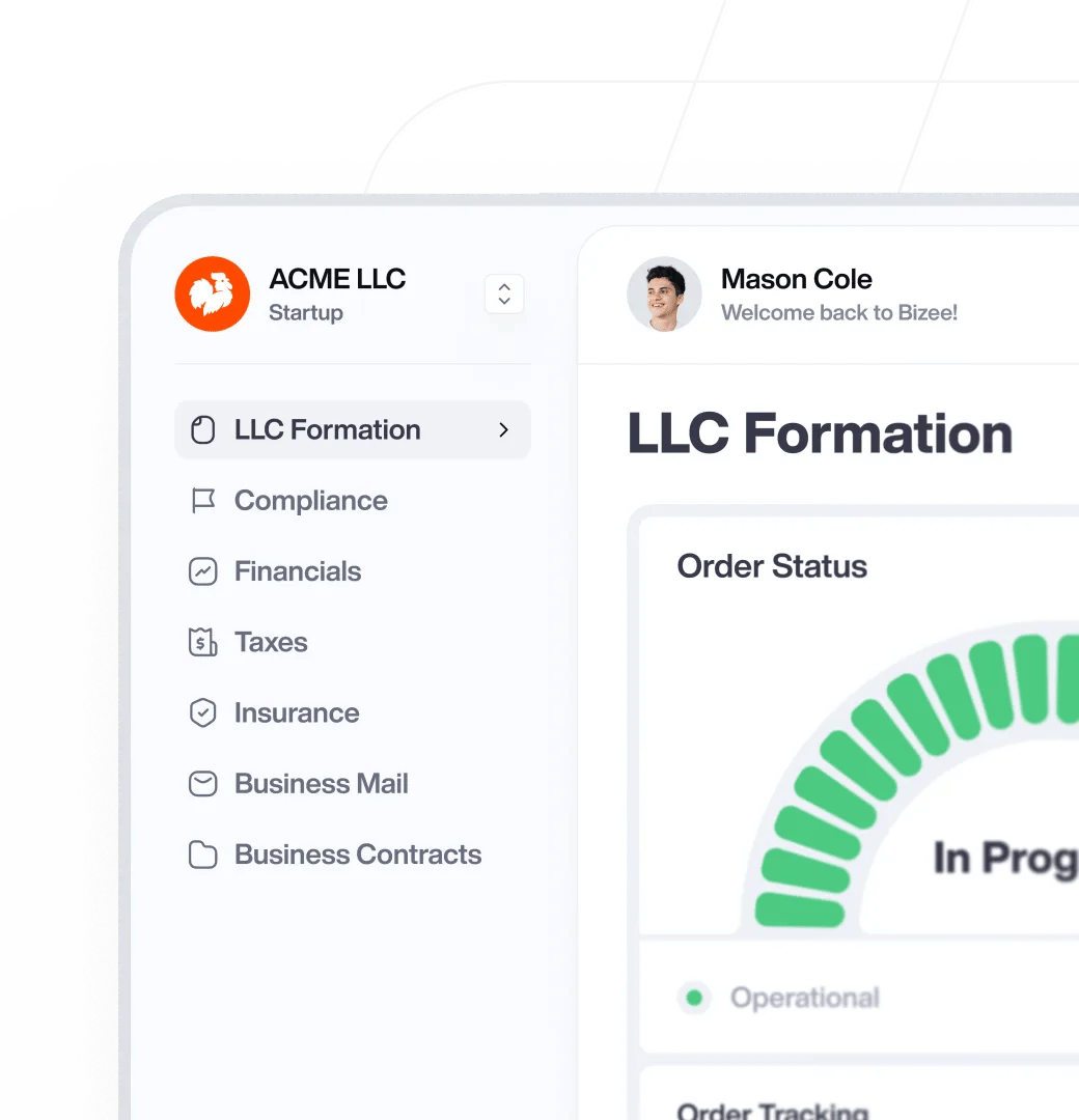 Llc Formation