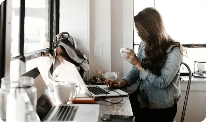 Productive Woman Working On Laptop