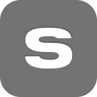 S Corp