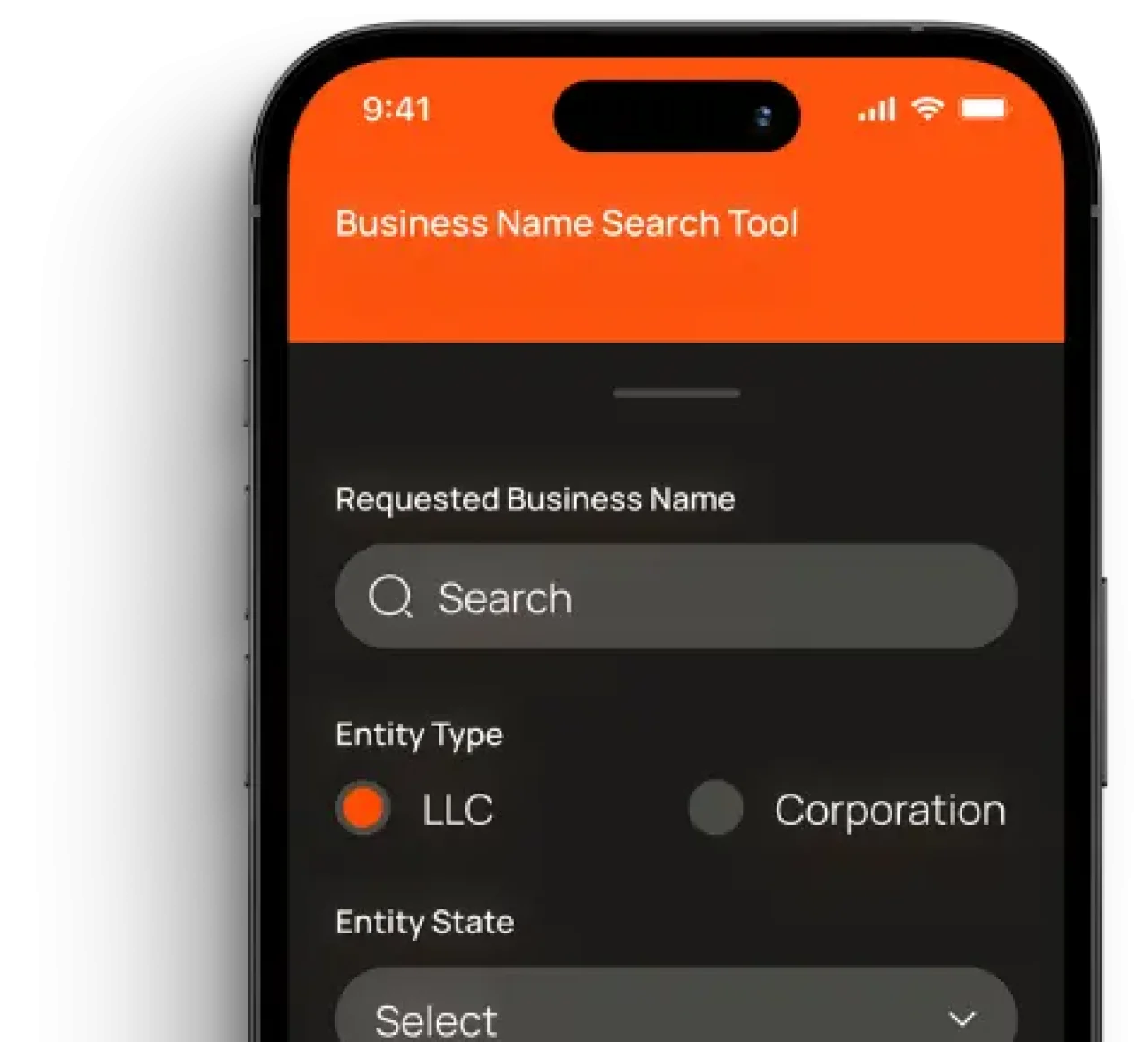 Business name search tool