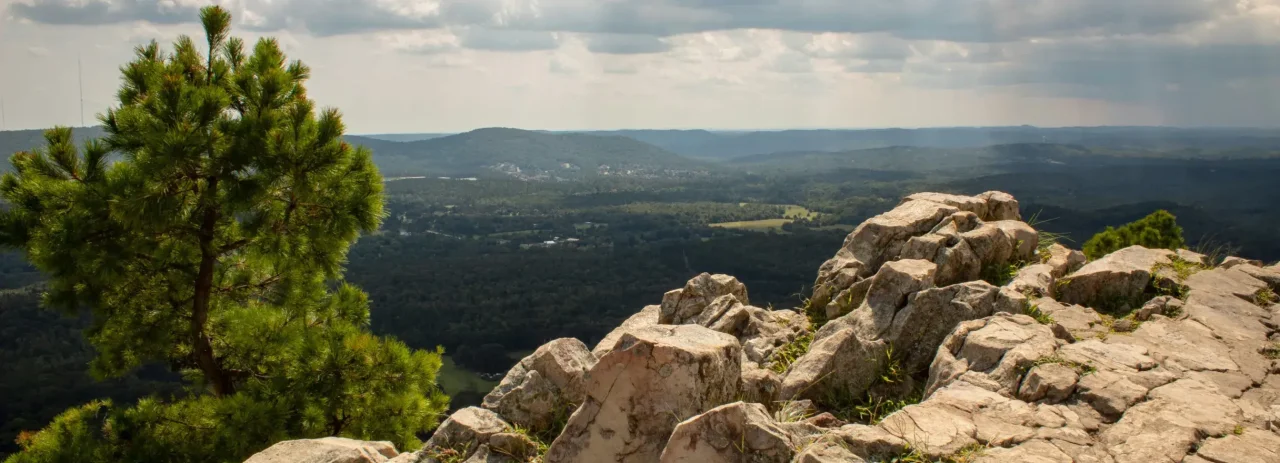 Cta Arkansas Desktop