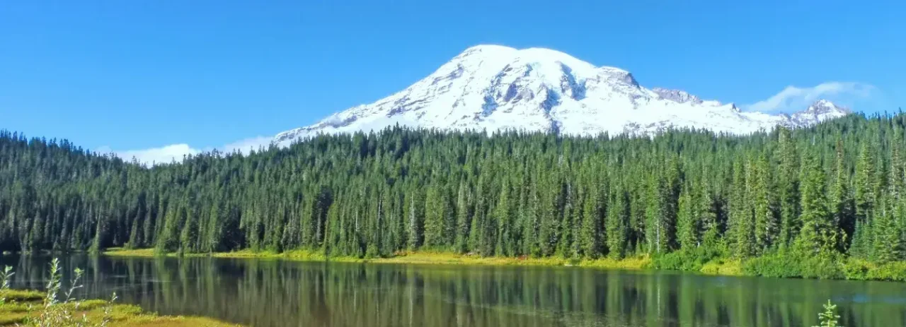 Cta Washington Desktop