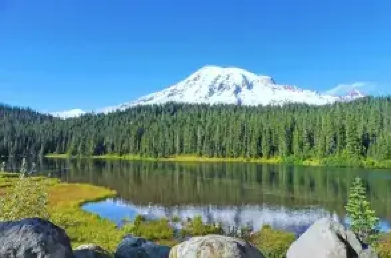 Cta Washington Mobile