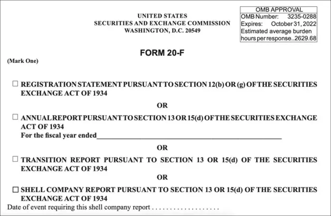 What Is A 20 F Filing
