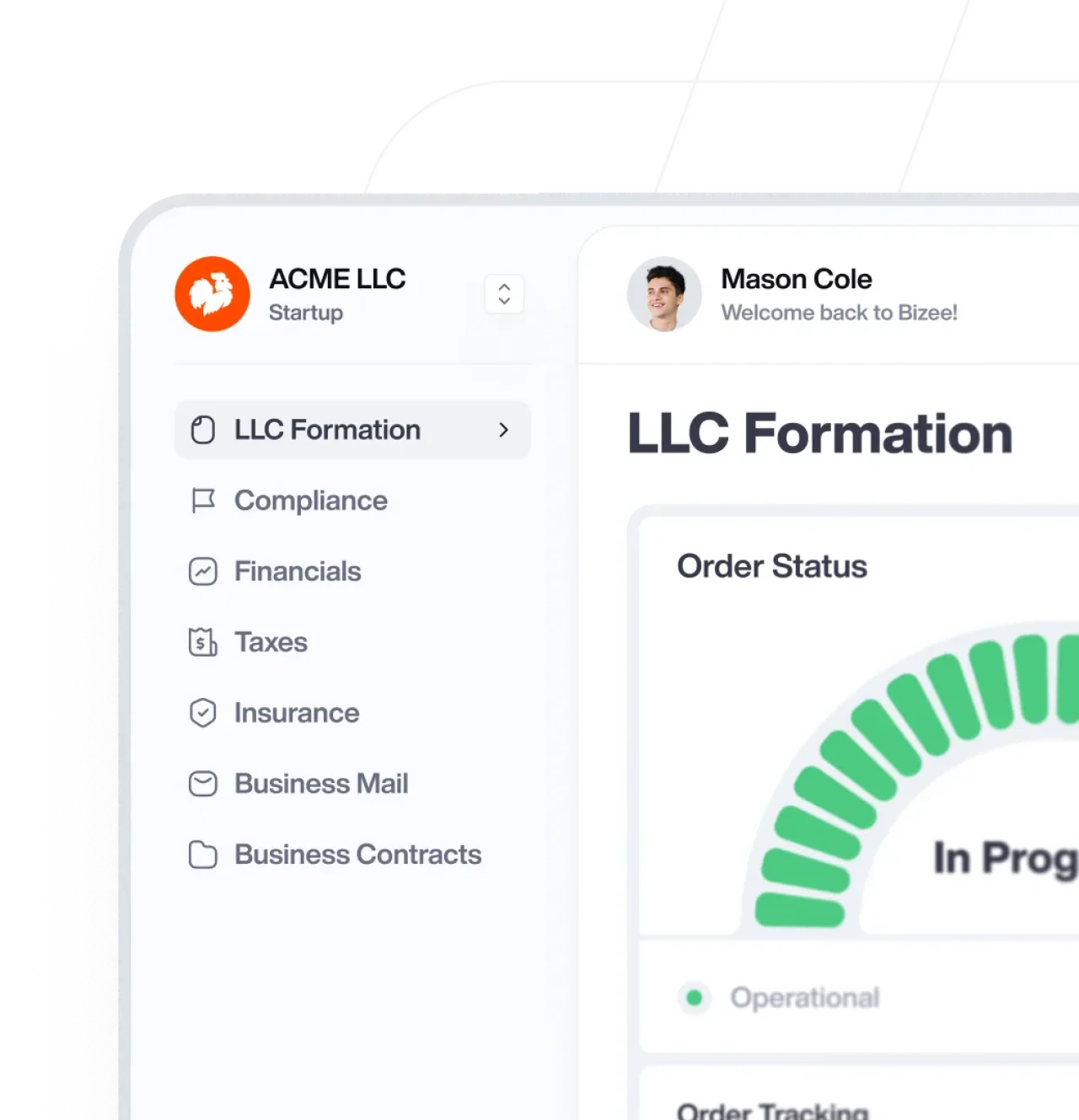 Llc Formation