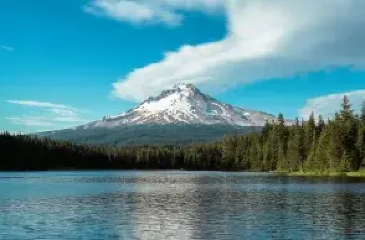 Mount Hood reflected in the waters of Trillium Lake surrounded by evergreen forest under a blue sky.