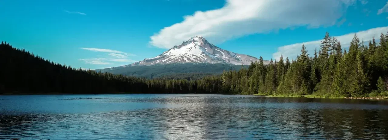 Mount Hood reflected in the waters of Trillium Lake surrounded by evergreen forest under a blue sky.