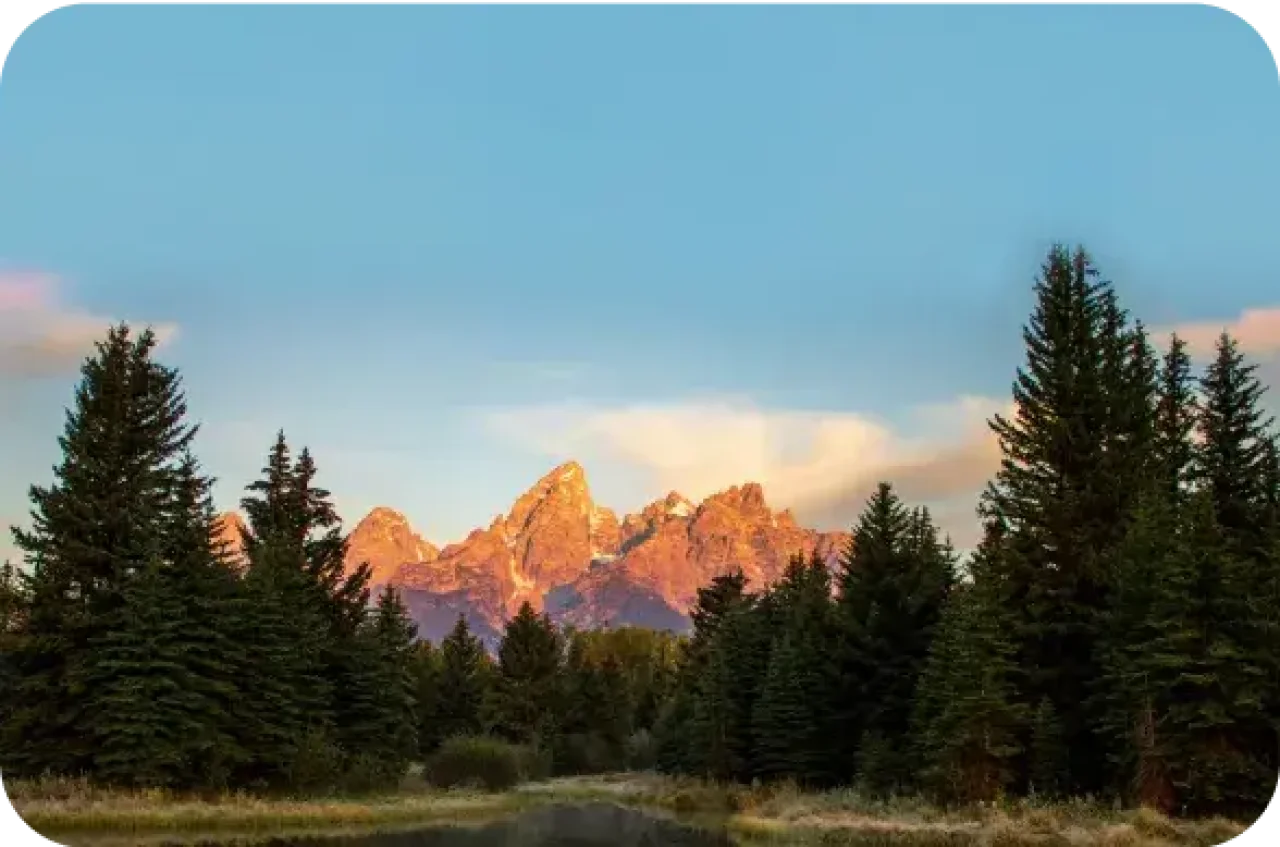 Grand Teton mountain peaks glowing at sunset framed by evergreen trees.