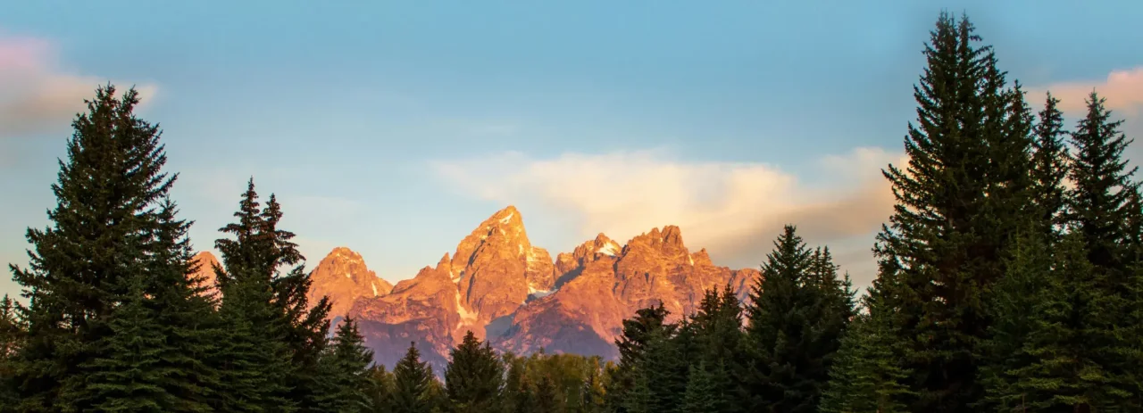 Grand Teton mountain peaks glowing at sunset framed by evergreen trees.